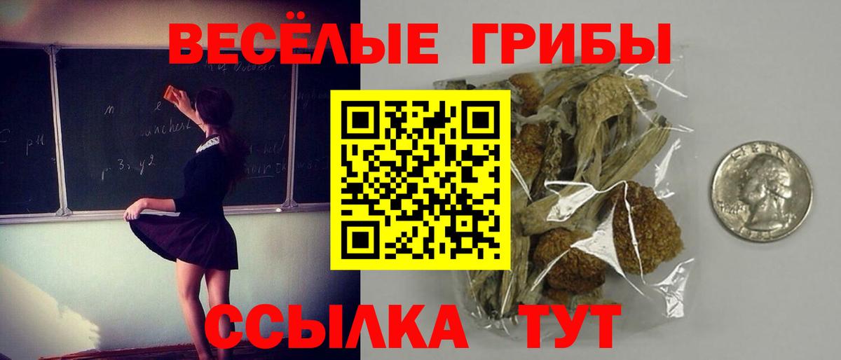 Петропавловск-Камчатский  Псилоцибиновые грибы Cubensis  Псилоцибиновые грибы MAGIC MUSHROOMS  Вход с VPN 